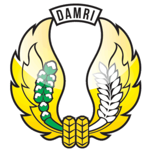 Sejarah DAMRI