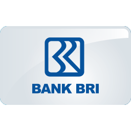 bri icon