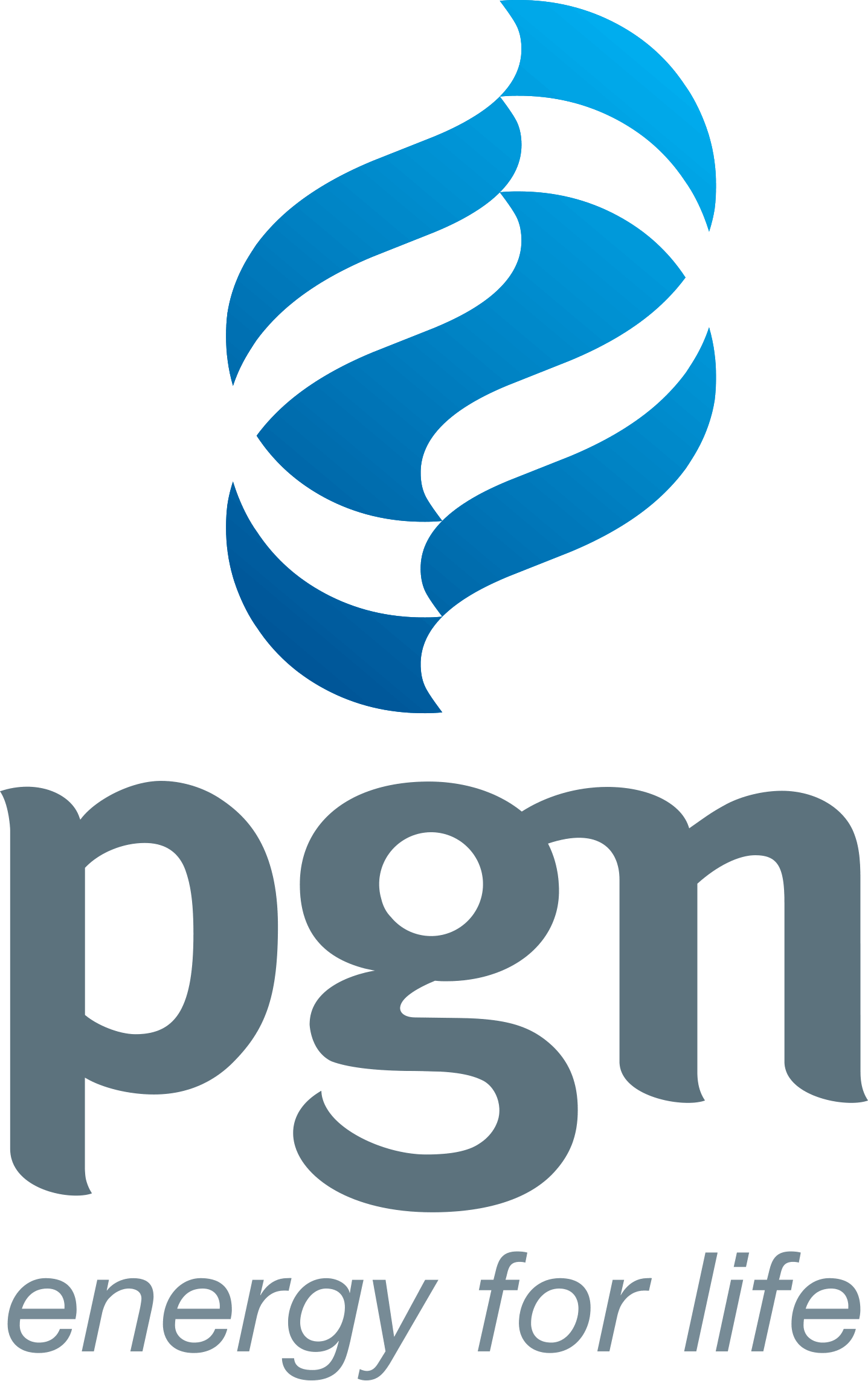 Logo Perusahaan Gas Negara Logo Perusahaan Gas Negara