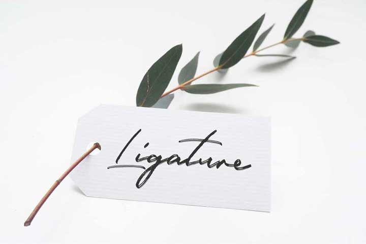 Hunter River Free Signature Script Font