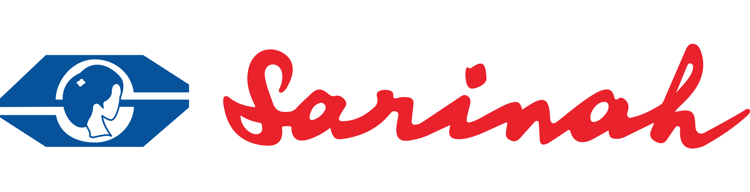 Logo Sarinah Logo Sarinah