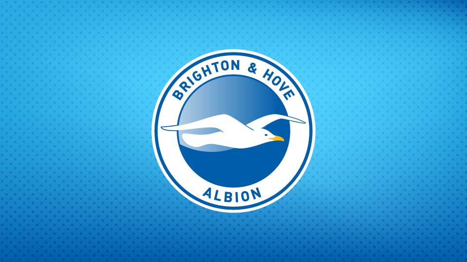 Brighton & Hove Albion - Ruang Logo